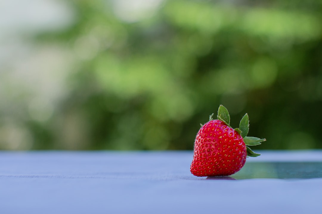 blog_2