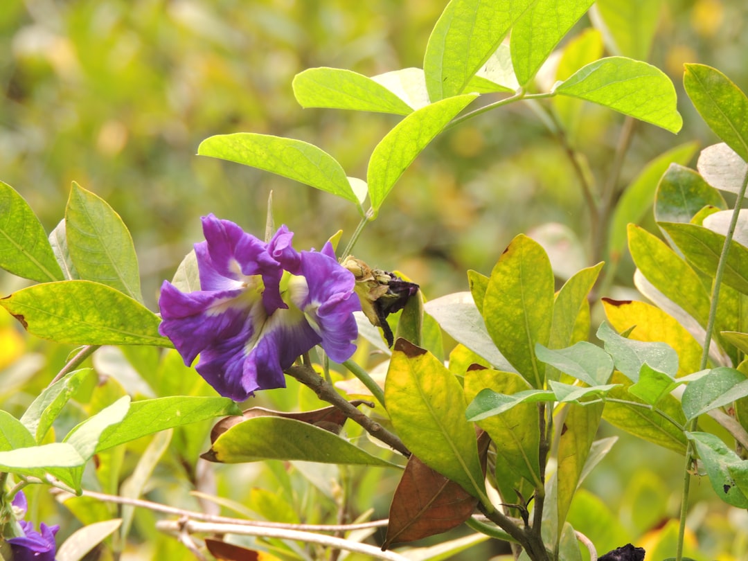 blog_6